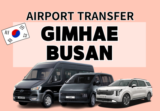 Private Airport Transfer : Busan airport to/from Busan