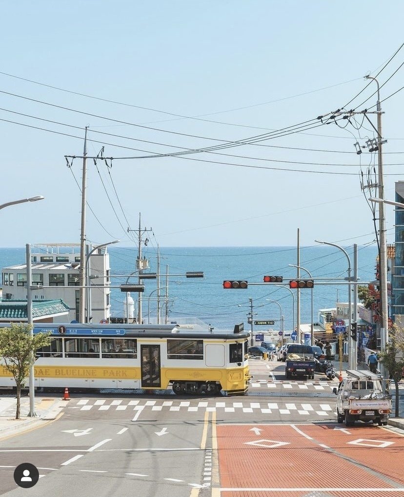 CUSTOMIZING Private Car Charter BUSAN Tour