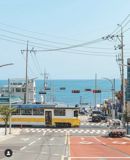 CUSTOMIZING Private Car Charter BUSAN Tour